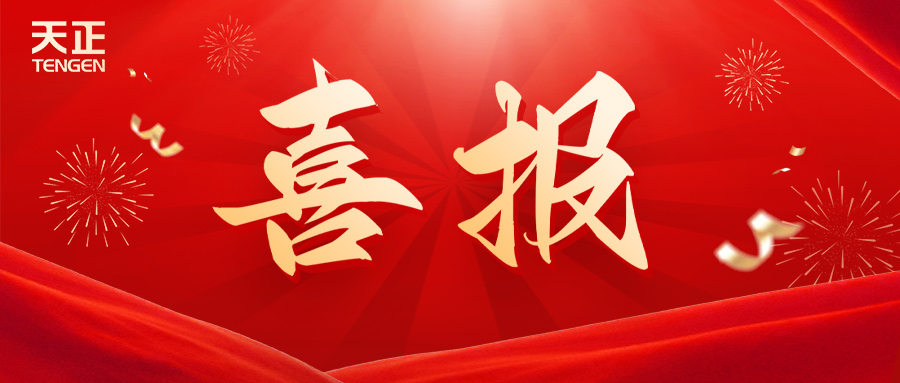 喜报丨BSport体育官网智造案例再获国家级荣誉