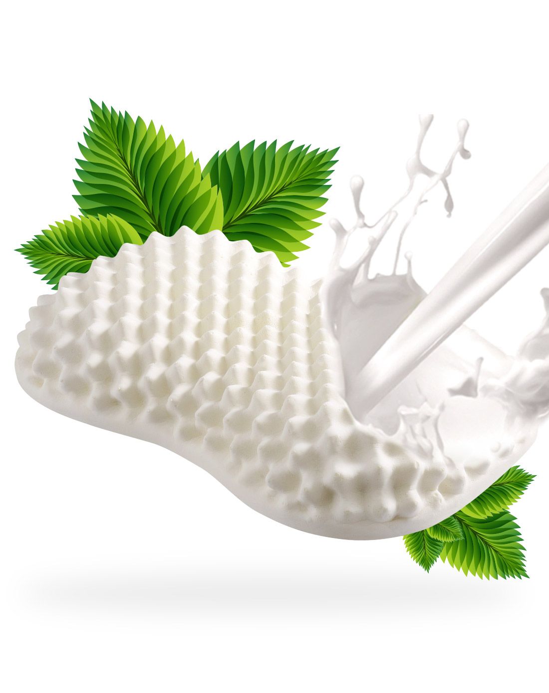 对于追求乳胶品质的人群来说这款不容错过哦